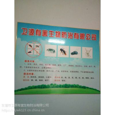 东营专业害虫防治 灭鼠灭蚊蝇 除虫
