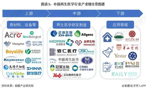 预见2023 2023年中国再生医学行业全景图谱 附市场规模 竞争格局和发展趋势